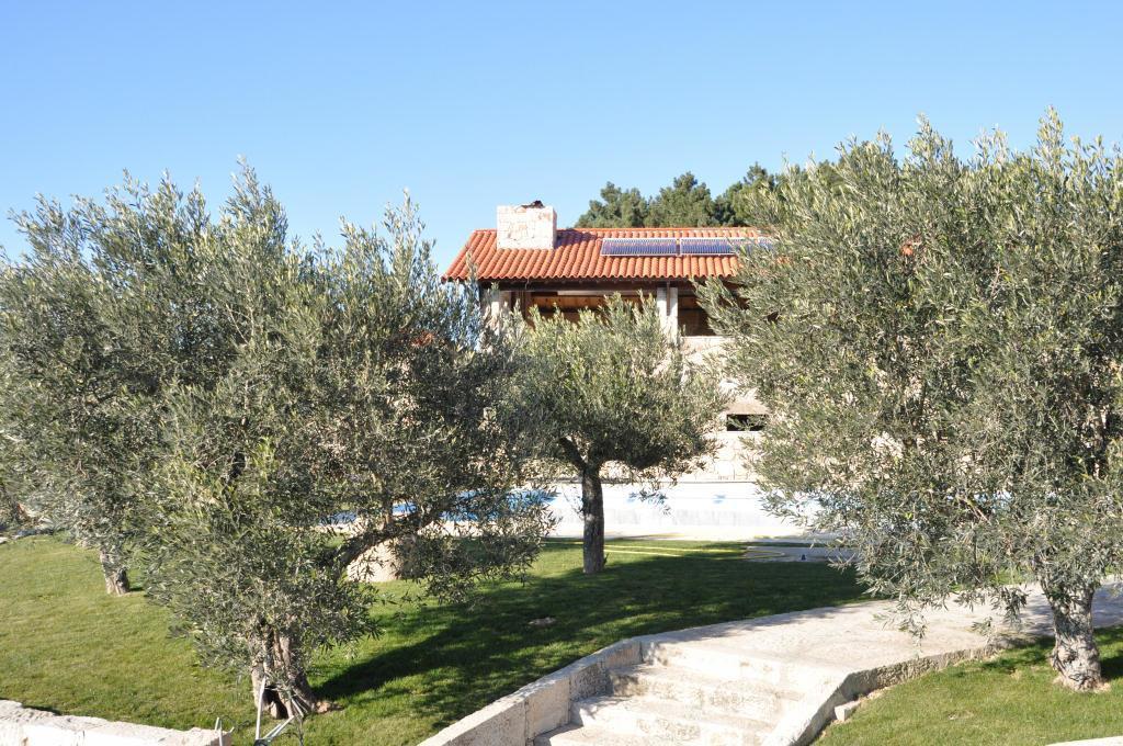Maison d'hôtes Quinta Do Olival à Vilas Boas  Extérieur photo