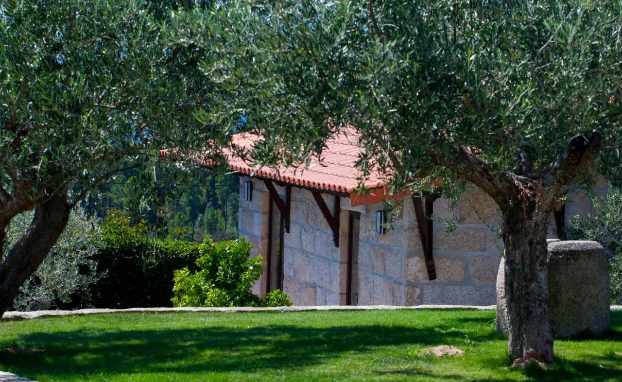 Maison d'hôtes Quinta Do Olival à Vilas Boas  Extérieur photo
